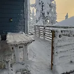 Ilves A Syöte