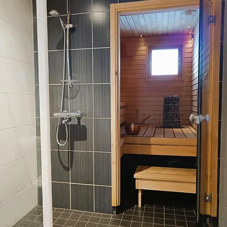 Ilves A Syöte