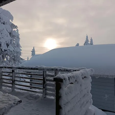 Ilves A