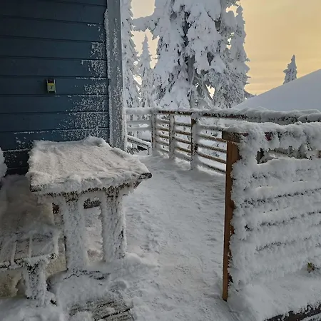 Ilves A Syöte